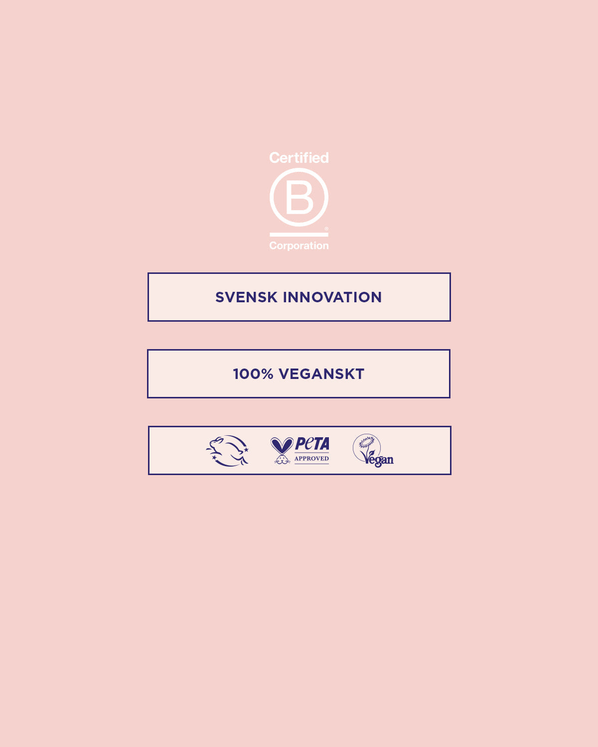 Invisidry Shampoo 100 ml